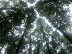 -山王坪喀斯特国家生态公园
