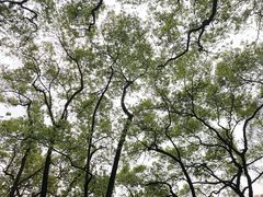 -忠山公园