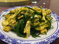 沙葱炒蛋-范记靖远羊羔肉(博物馆店)