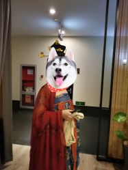 -盘子女人坊古装写真摄影(天津总店)