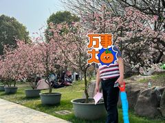 -秀丽东方