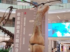 -上海七宝领展广场
