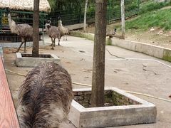 -栾川竹海野生动物园