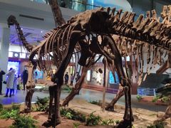 -自贡恐龙博物馆