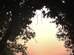 -东莞香市动物园