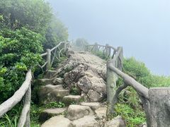 -梧桐山风景名胜区