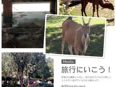 android_upload_pic-石家庄市动物园