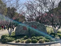 -上海海湾国家森林公园