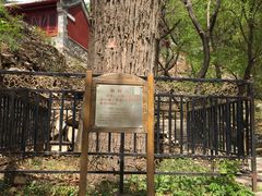 -北京上方山国家森林公园