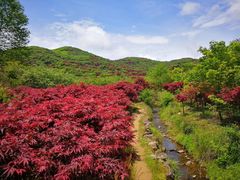 -溪口-滕头旅游景区