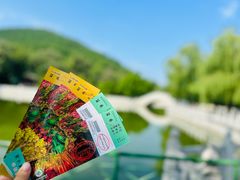 -京东大溶洞景区