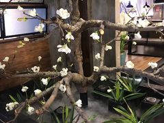 大堂-盛江山自助料理(奥莱锦辉购物广场店)