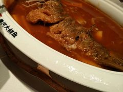 -阿五黄河大鲤鱼(英协路店)