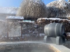 -陆地游轮吉林神农温泉