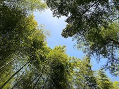 -冶父山国家森林公园