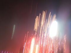 -花博汇(知音花月夜)