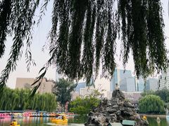 -团结湖公园