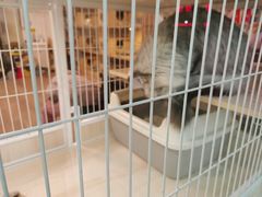 -三旗百汇商品城