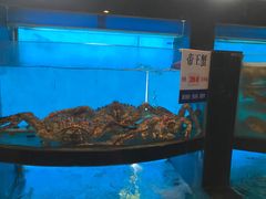 -莆鑫海鲜城(浏河店)