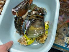 -船奇蒸汽海鲜·闽菜(八市海鲜总店)