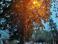 -吴记怪味面(牛王庙店)