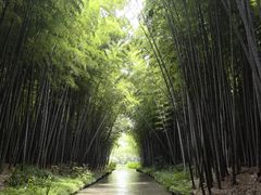 -同里国家湿地公园