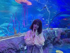 -沈阳海洋探索中心