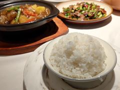 -Aqua Oasis 水天堂(石路天虹店)
