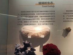 -湖南省地质博物馆