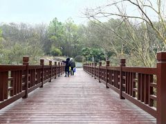 -天生桥景区