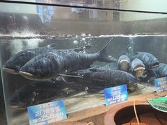 -上名堂·鱼头好吃(体育场路店)