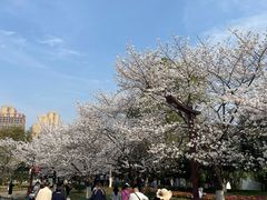 -堤角公园