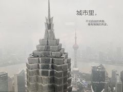 -上海柏悦酒店