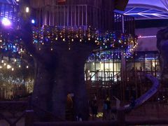 -杭州开元森泊度假乐园