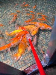 -酷嗒动物文化乐园(cutezoo西溪乐天城店)