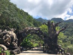 -龙湾潭国家森林公园