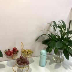 -天使医生VIP孕期孕检产检(市二医院店)