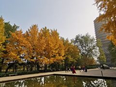 -玲珑塔公园