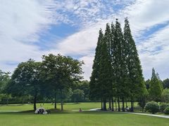 -宜兴龙背山森林公园