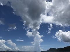 -杨梅坑