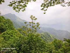 -抱龙峪