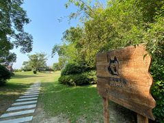 -上海崇明金茂凯悦酒店