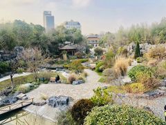 -上海吴淞炮台湾国家湿地公园