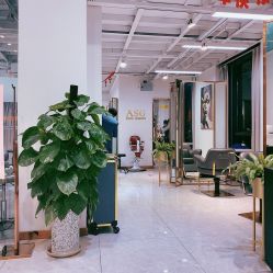 -ASG Hair Salon烫染·接发