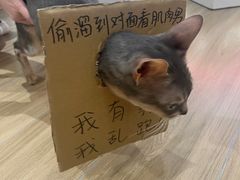 -NRG健身私教CLUB(打浦桥店)