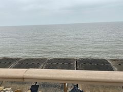 -东疆建设开发纪念公园