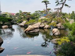 -罗红摄影艺术馆