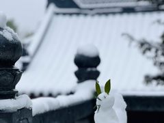 -鸡鸣寺