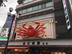 蟹肉火锅-蟹道乐(道顿堀本店)