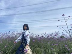 -紫颐香薰山谷景区